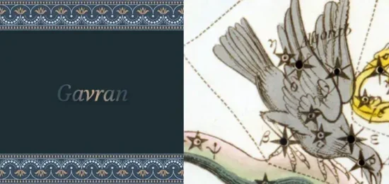 gavran