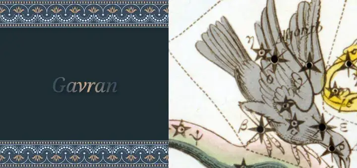 gavran gavran