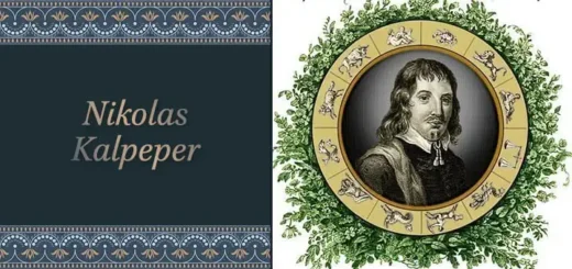 nikolas-kalpeper