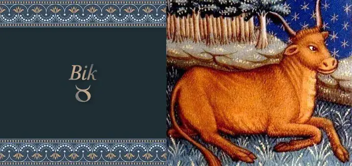 Znak Bika: Astroškolica Zodijak