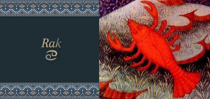 Znak Raka: Astroškolica Zodijak | AstroRiznica