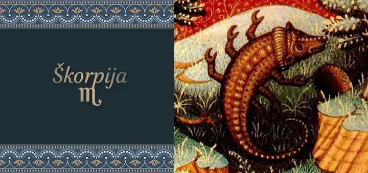 Znak Škorpije: Astroškolica Zodijak