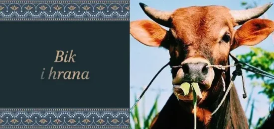 bik-hrana