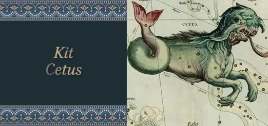 kit cetus kit-cetus